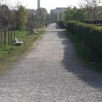 Ciclabile Sesto San Giovanni 10