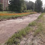 Ciclabile Sesto San Giovanni 12