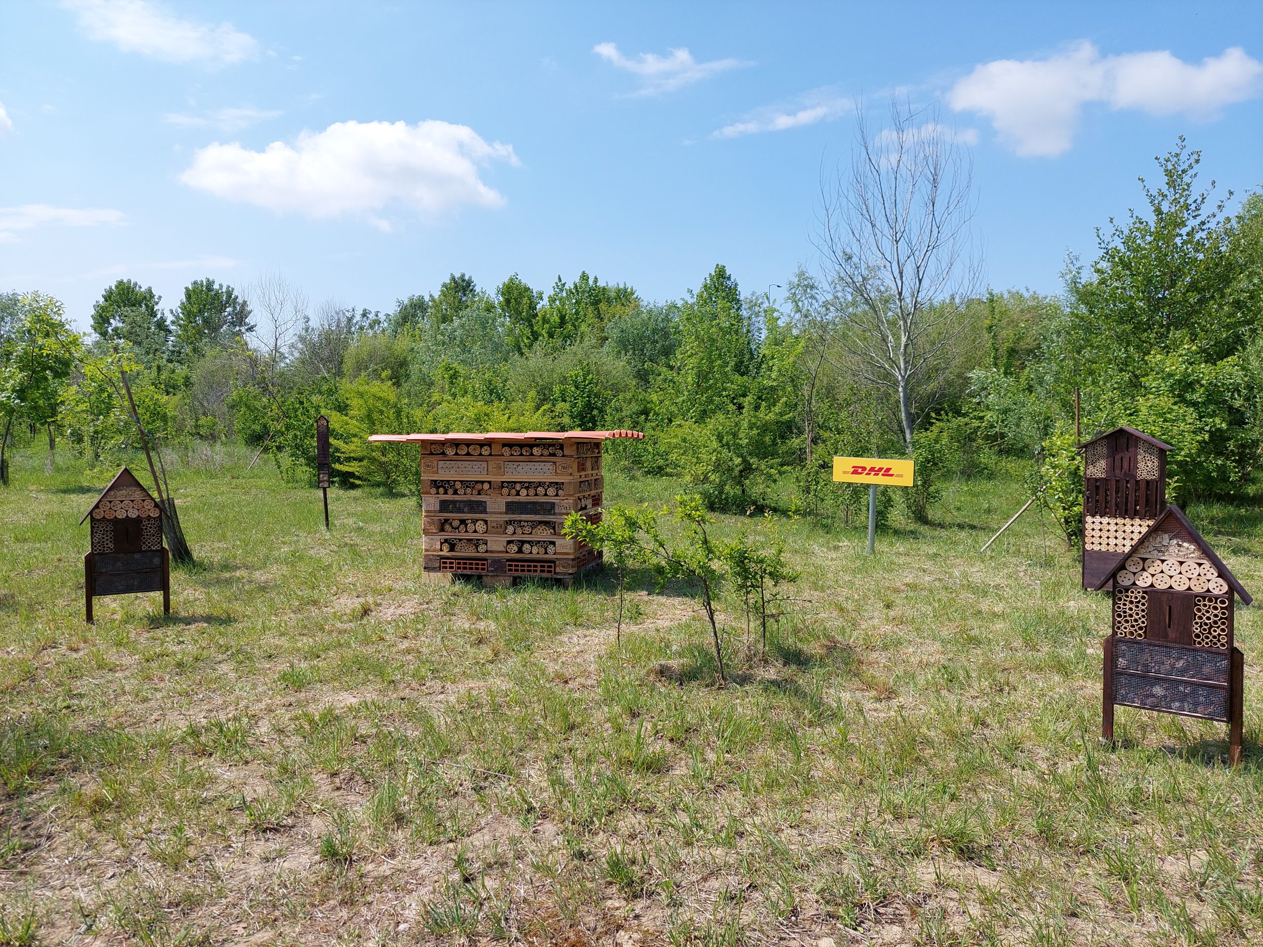 Oasi naturalistica martesana