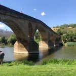 Cammino di Santiago 29