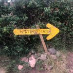 Cammino di Santiago 40