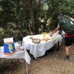 Cammino di Santiago 41