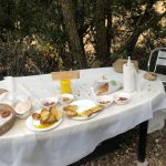 Cammino di Santiago 42