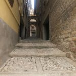 Cammino di Santiago 45