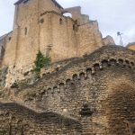 Cammino di Santiago 52