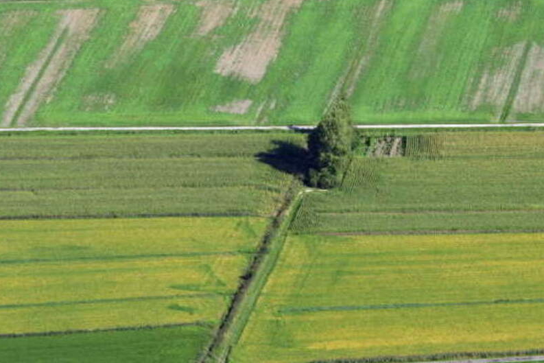 Associazioni fondiarie