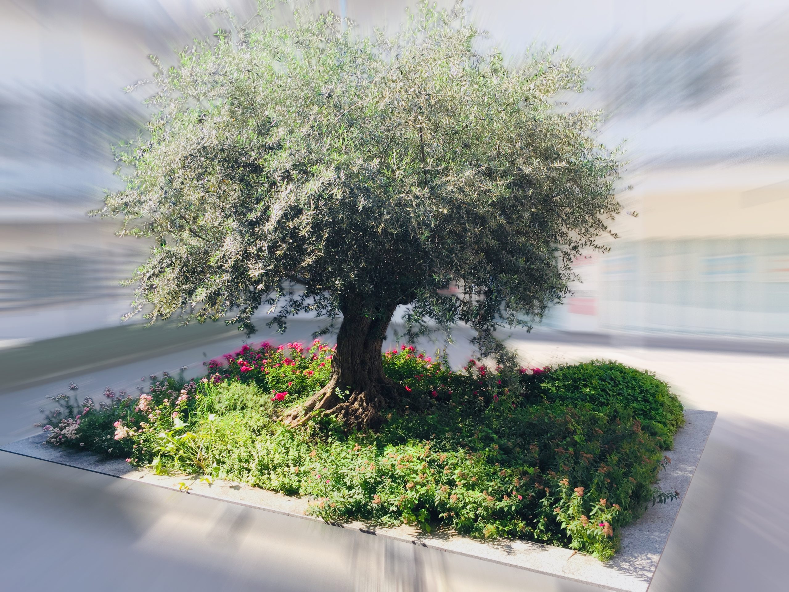 Congresso Psicoterapia Relazionale Integrata