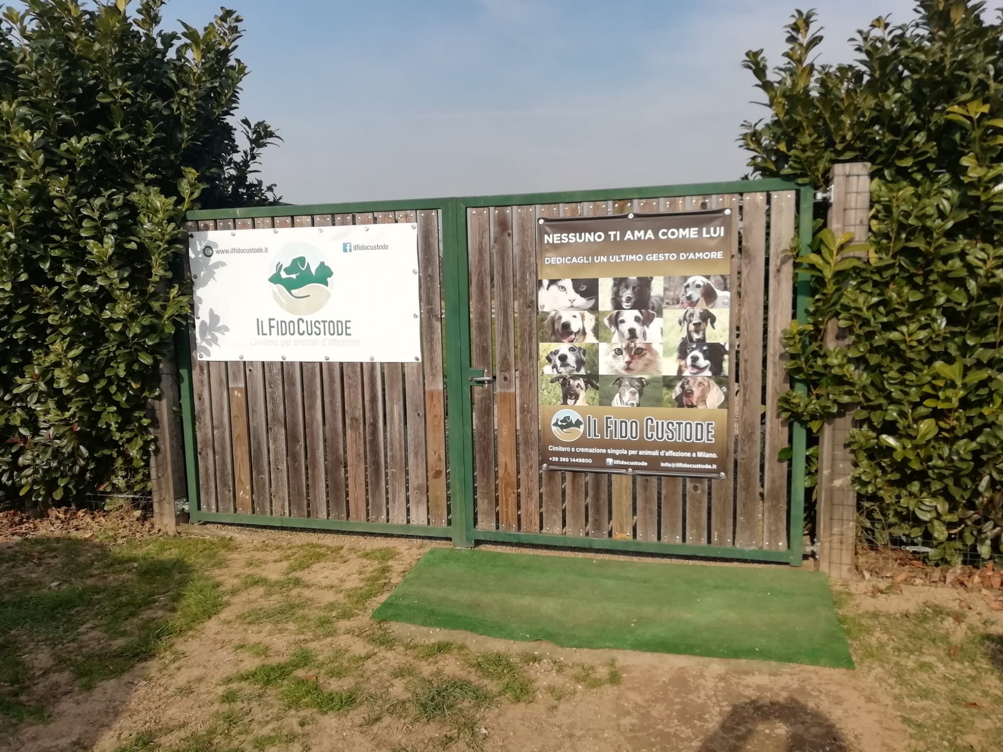 foto cimitero animali