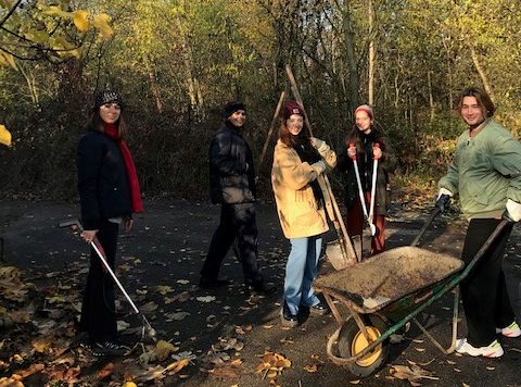 pulizia bosco goccia