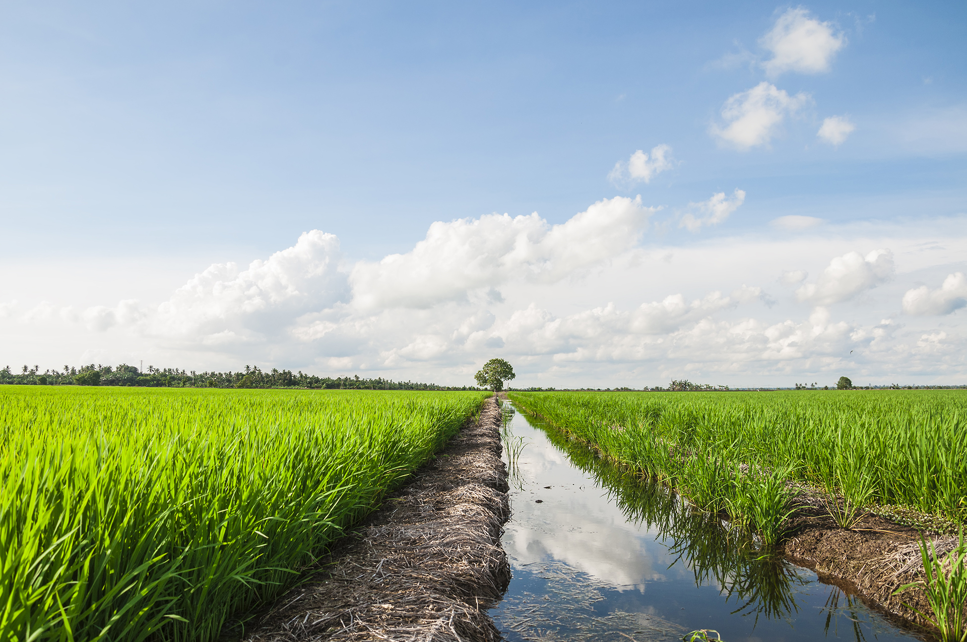 GRUPPO CAP_Natural Based Solution