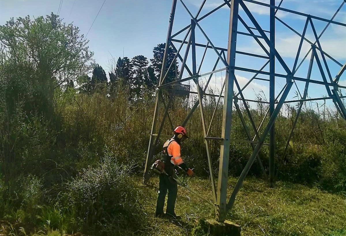 taglio alta tensione