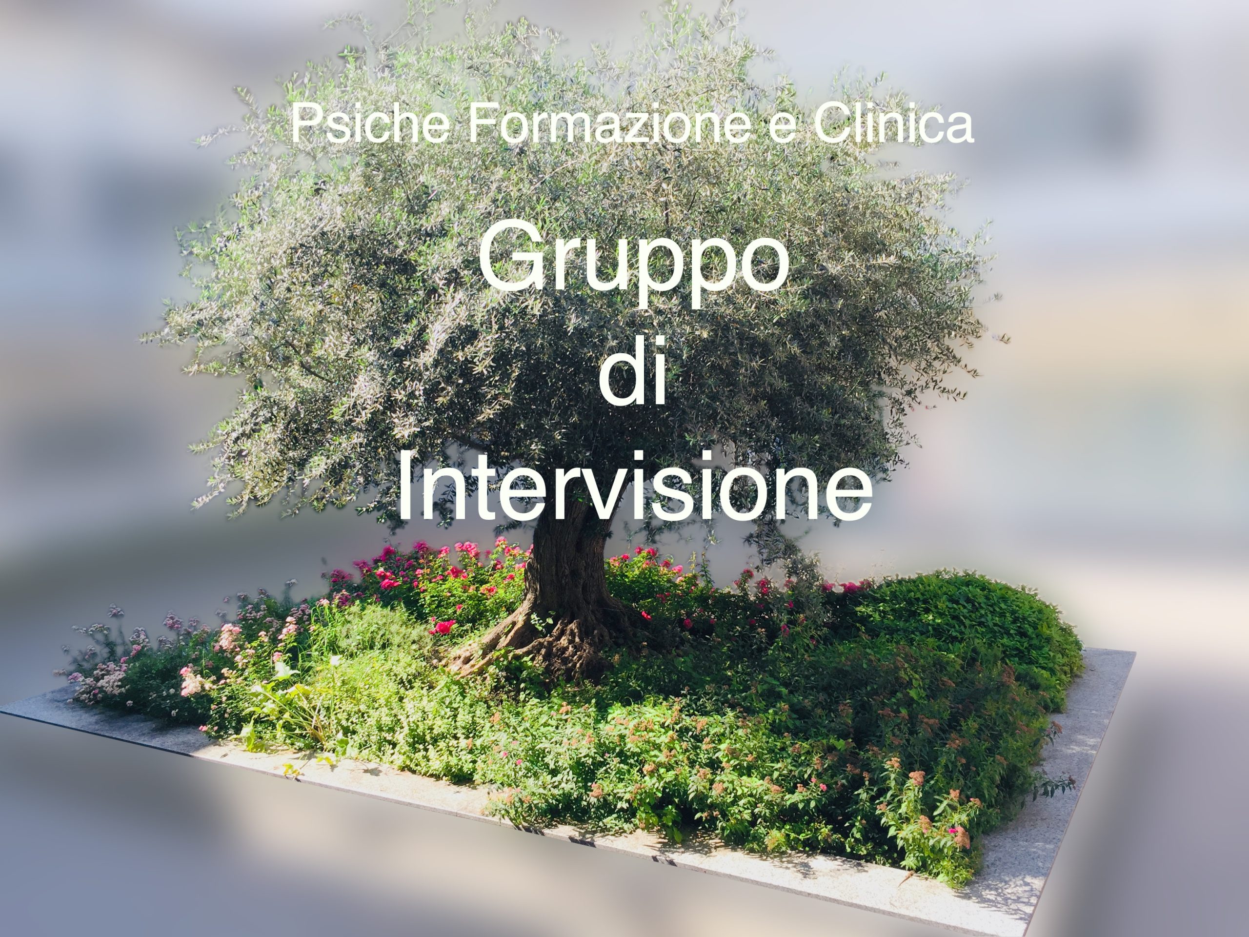 Convegno psicoterapia 05