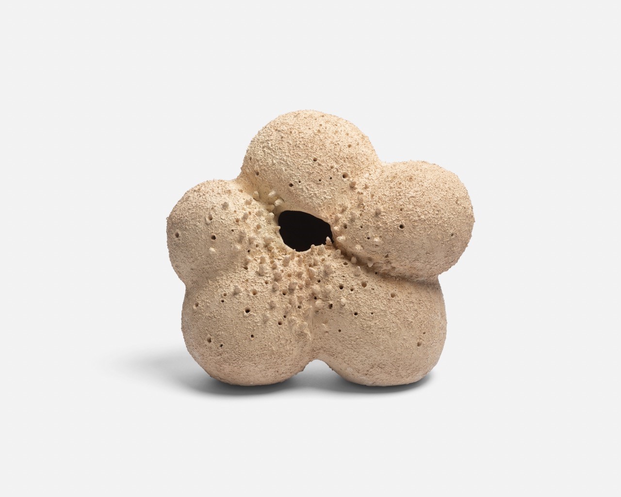 barbara de ponti opera