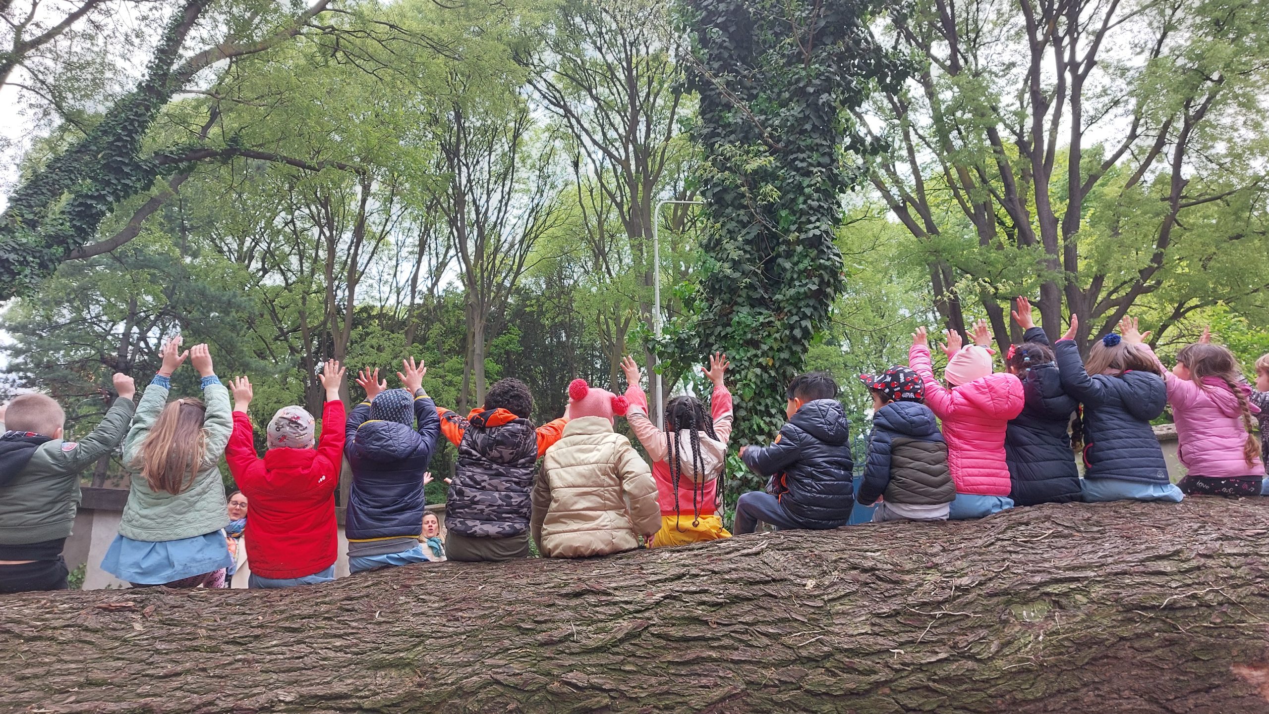 Bambini materna scoprono il giardino
