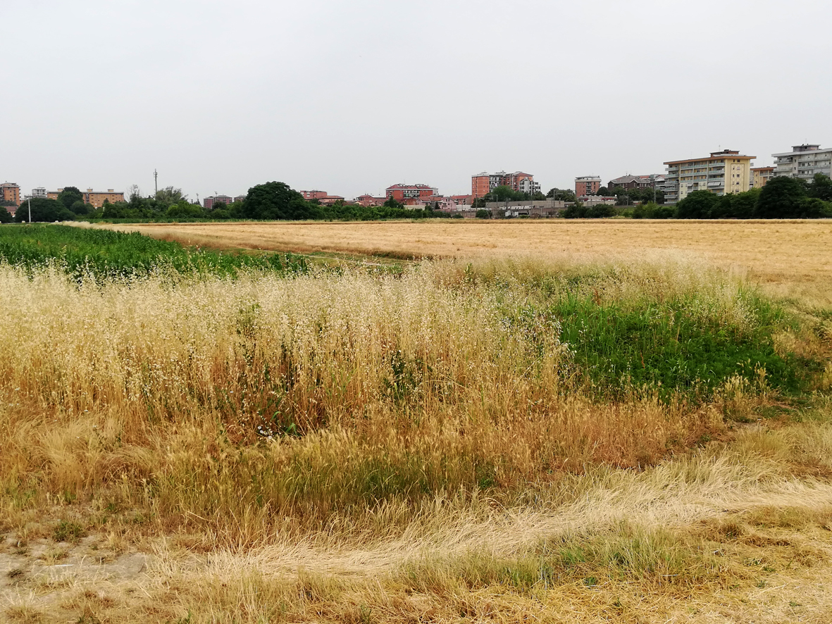 La campagna fra Civesio e Borgolombardo