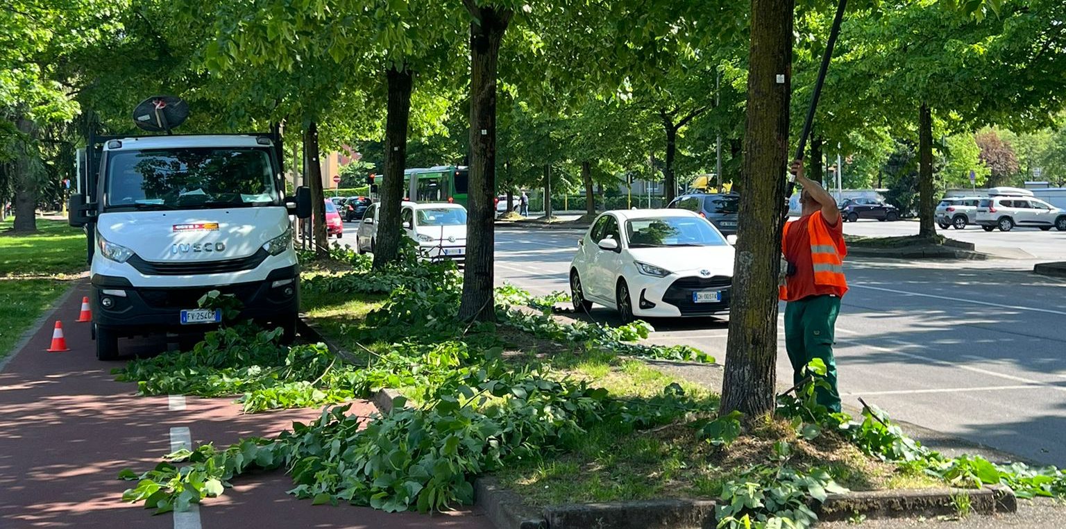 potature san giuliano