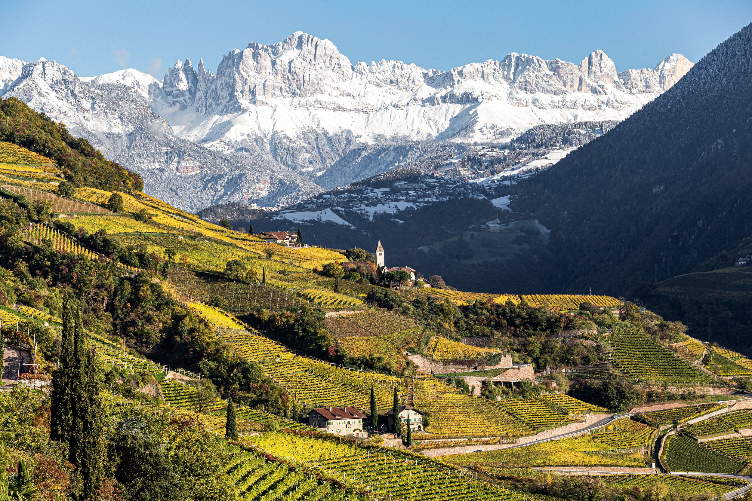 itinerari enologici trentino alto adige