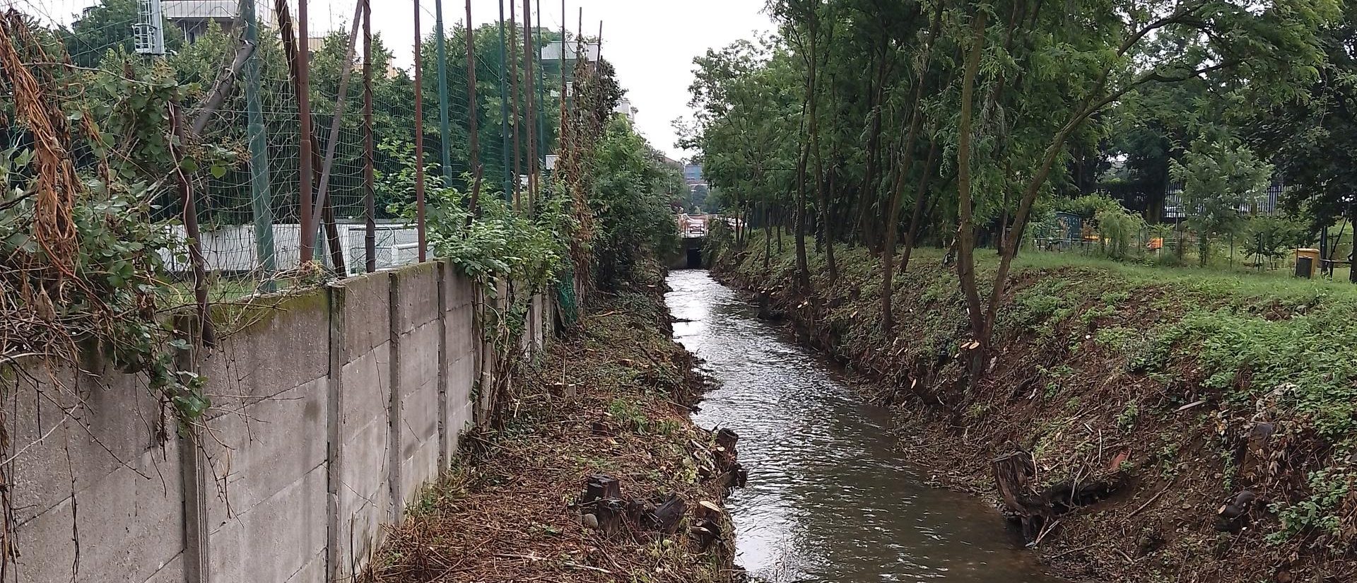 Bozzente ripuilite sponde