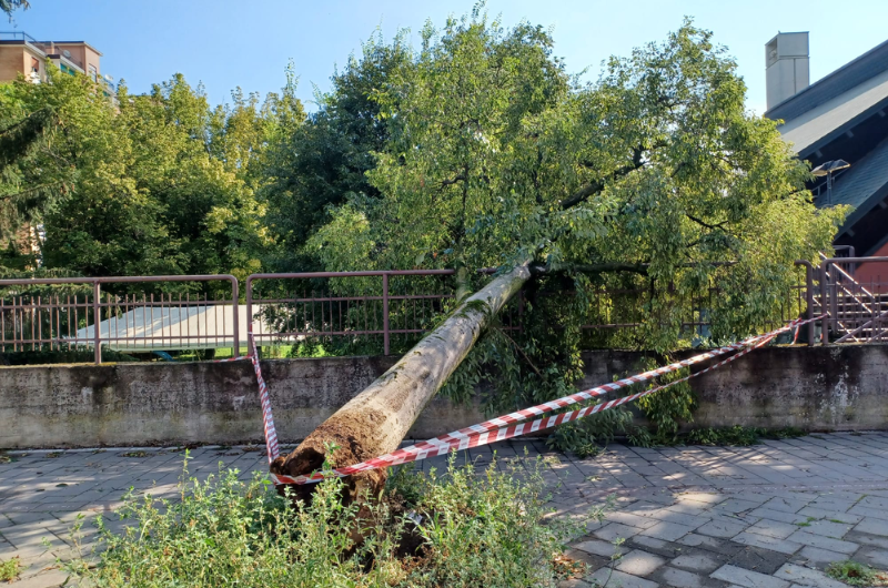 Danni maltempo san donato