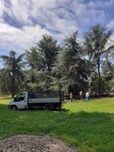 Maltempo SGM ripristini 01