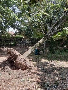 Maltempo SGM ripristini 02