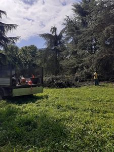 Maltempo SGM ripristini 04