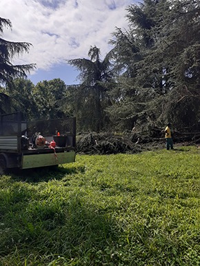 Maltempo SGM ripristini 04