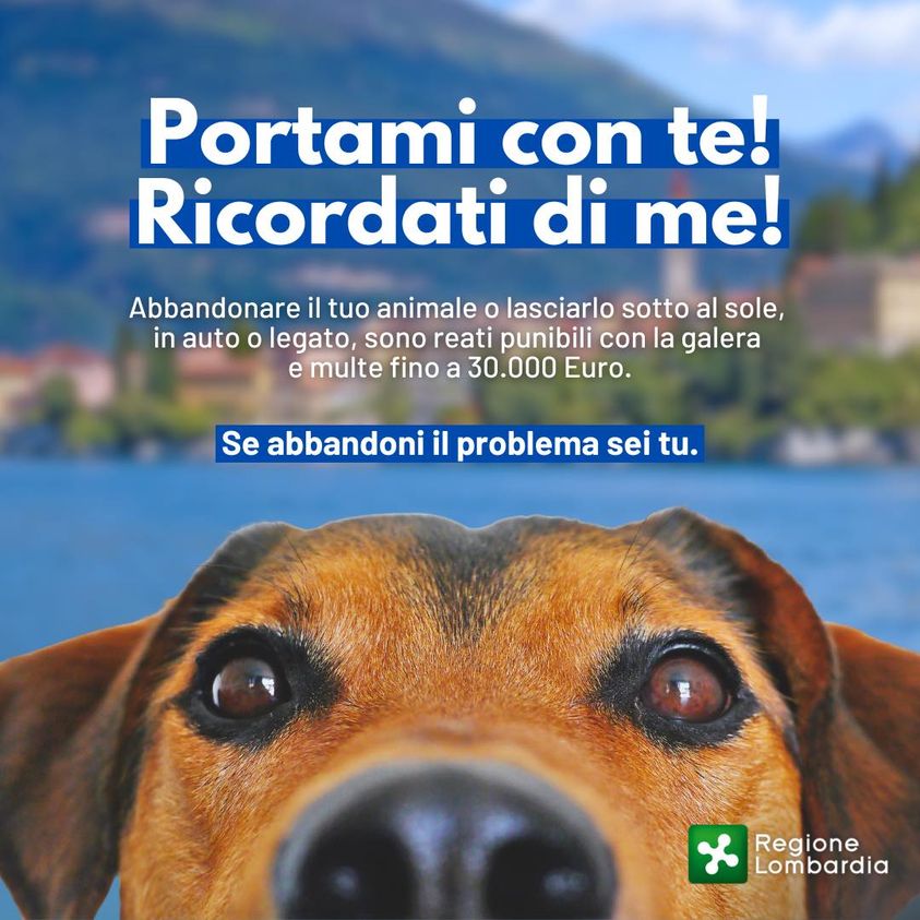 Campagna contro l'abbandono degli animali Regione 2023