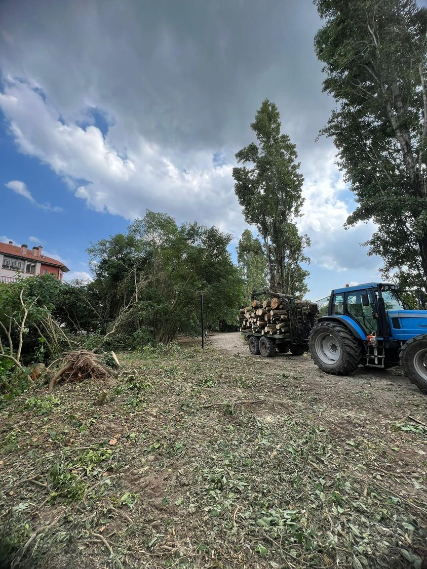 maltempo rimozione piante San Giuliano