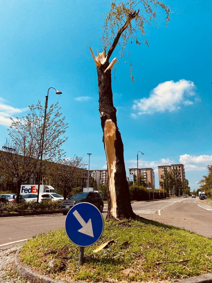 pianta maltempo Segrate