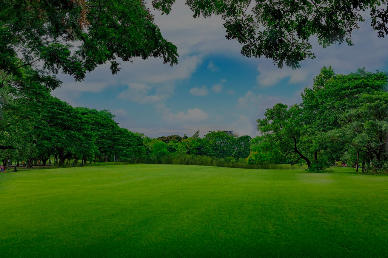 Questi luoghi speciali hanno una tradizione antica e profonda di commemorazione degli amici a quattro zampe