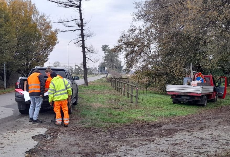 cassina rigenerazione