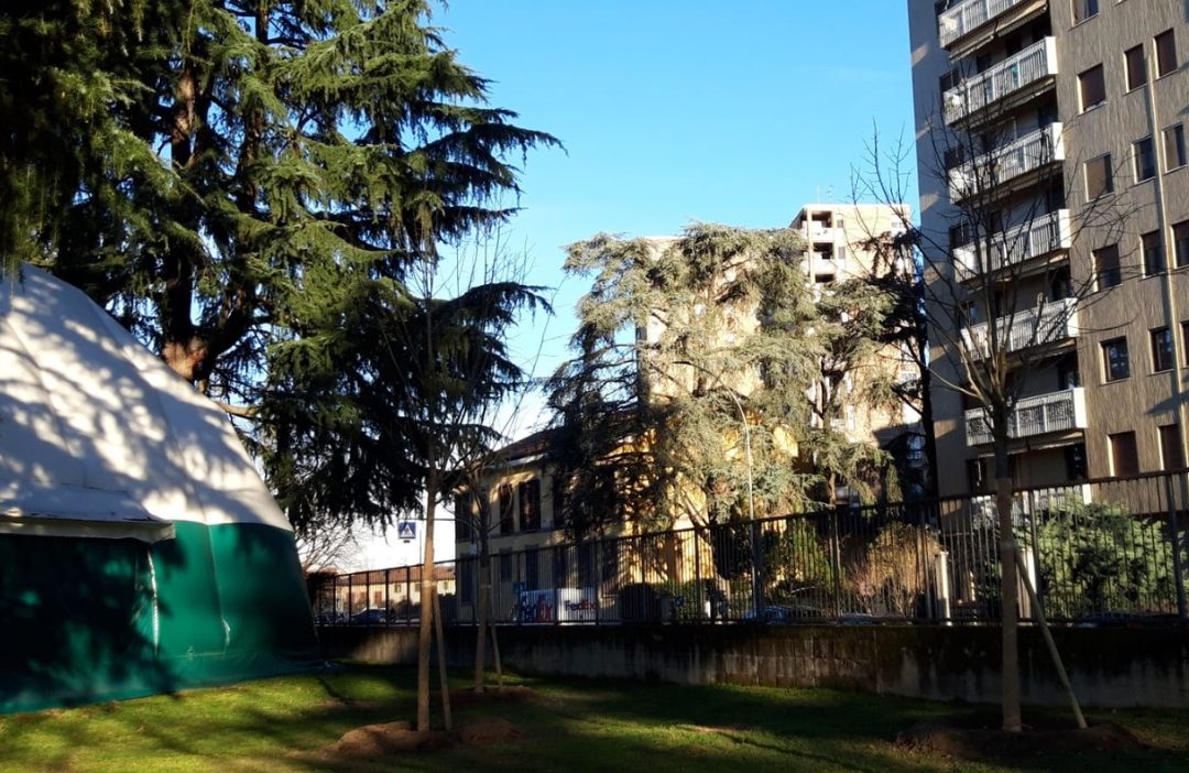 piantumazioni san donato