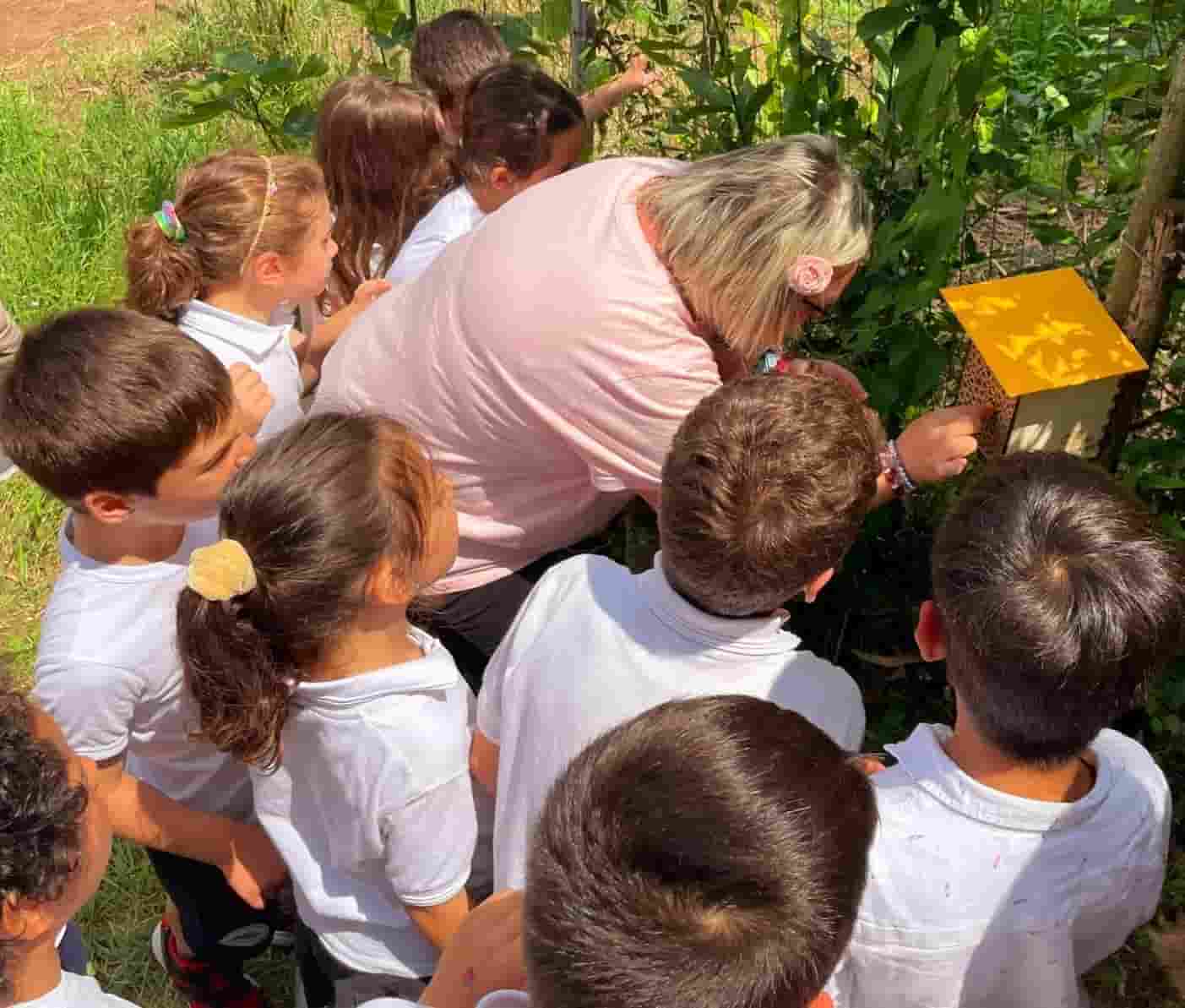 3Bee a scuola di biodiversità - 01 24-min