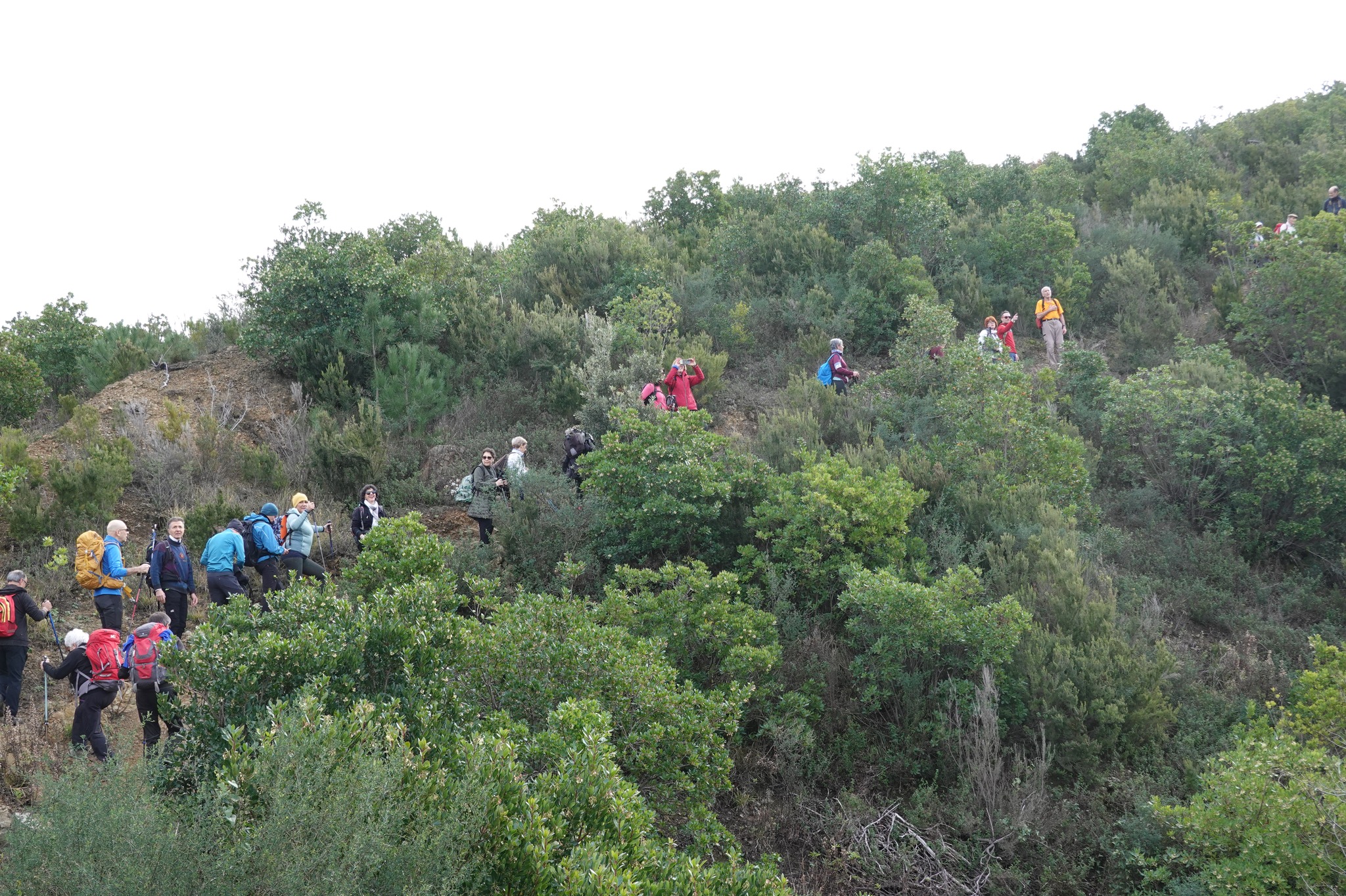 cai cinisello cusano