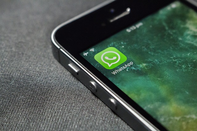 whatsapp bresso whatsapp comunale cormano