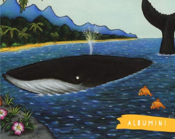 letture del mercoledì biblioteca