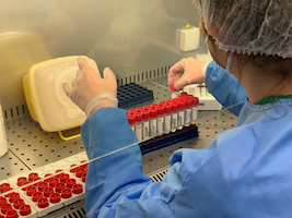 punto prelievi cormano