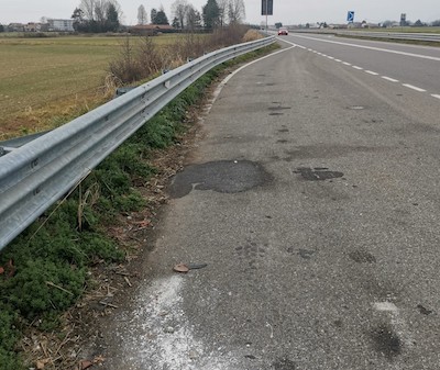 saronno fototrappole tangenzialina