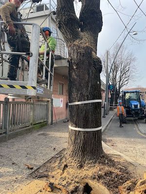 stazione saronno tiglio