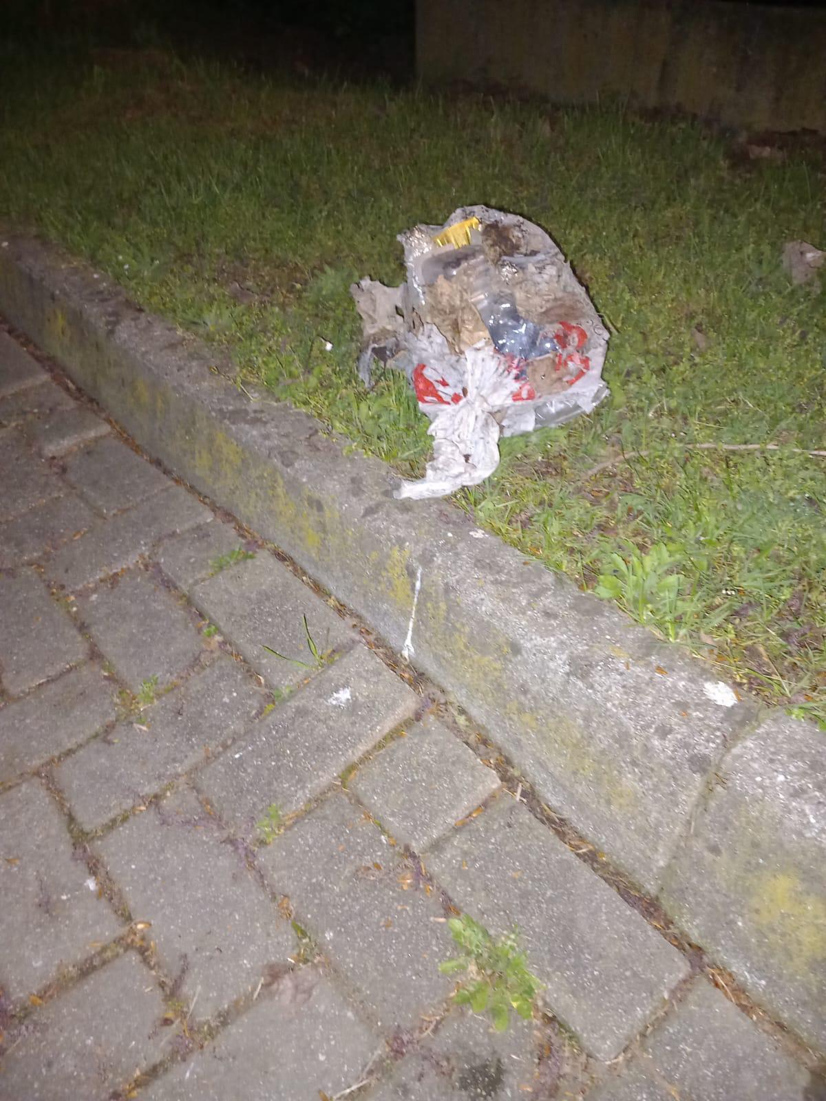 Simone Riva intervento a Peschiera