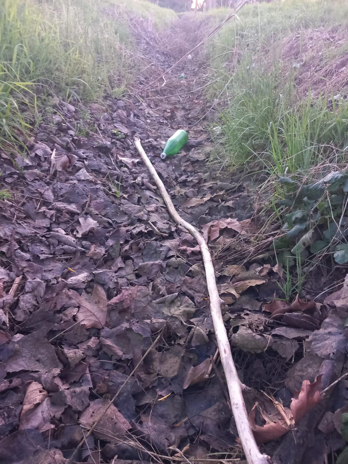 Simone Riva intervento a Peschiera