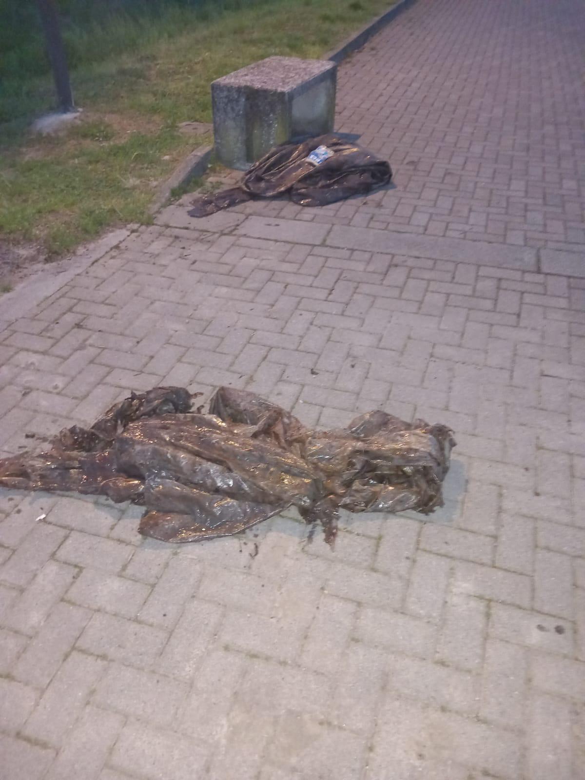 Simone Riva intervento a Peschiera