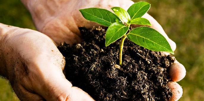 compostaggio primavera