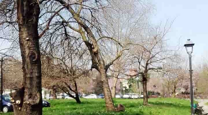 potatute vimodrone-min