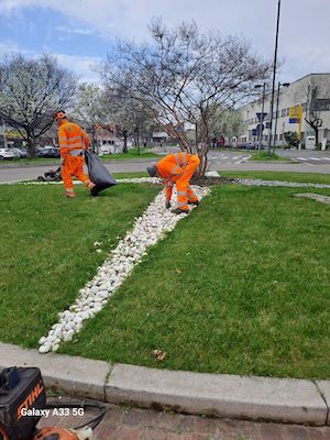 taglio erba cinisello