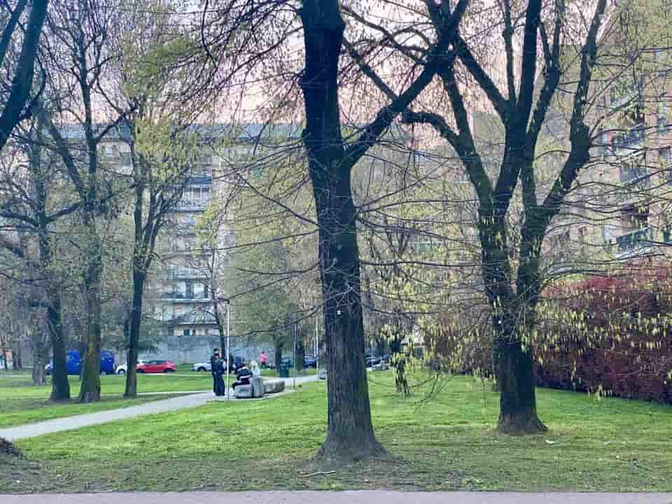 verde san giuliano-min