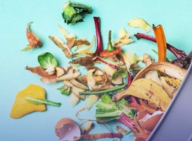 avanzi scarti alimentari