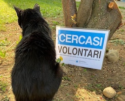 enpa cerca volontari
