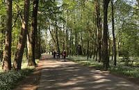 parco di monza